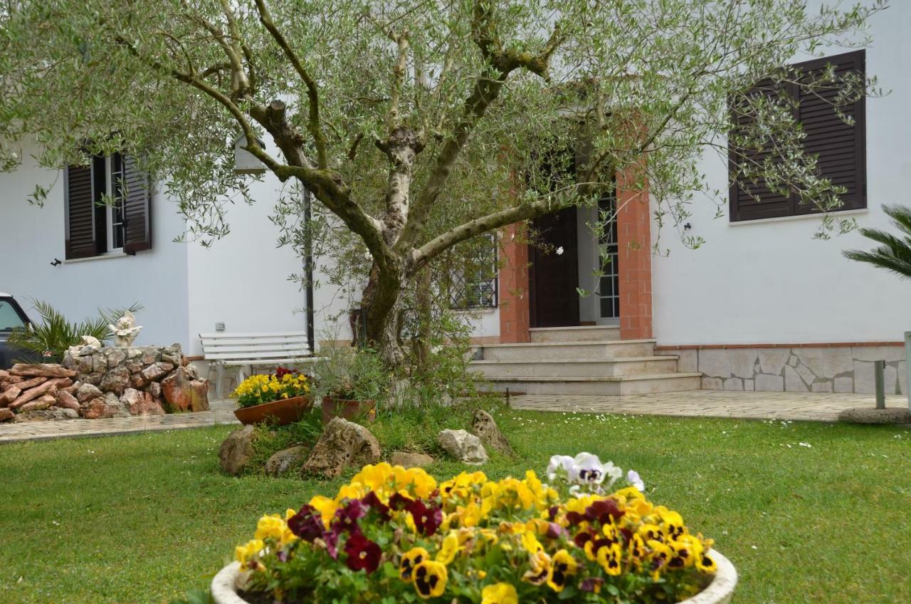 Hotel Il Grifo à Sabaudia Extérieur photo